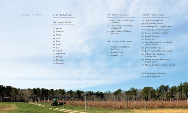 Out in Blue Fields by Schiffer Publishing - Image 2