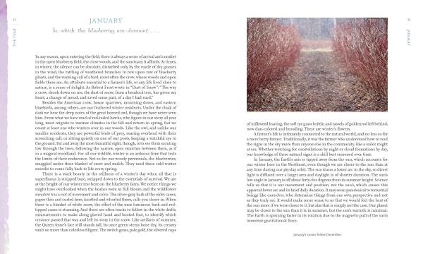 Out in Blue Fields by Schiffer Publishing - Image 4