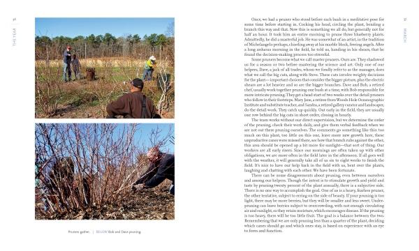 Out in Blue Fields by Schiffer Publishing - Image 5