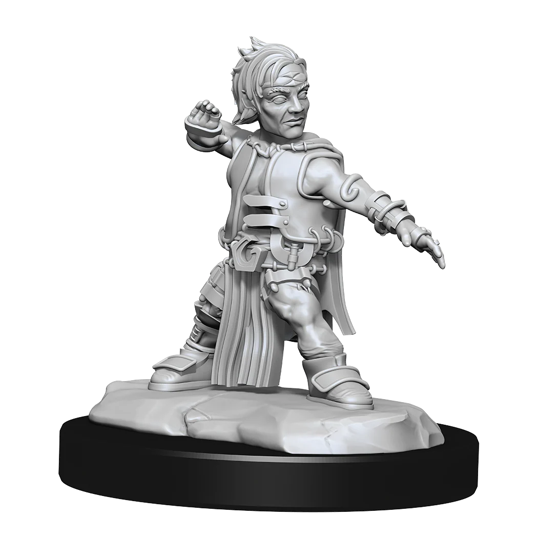 Pathfinder: Deep Cuts - Halfing Monk Male - Image 3