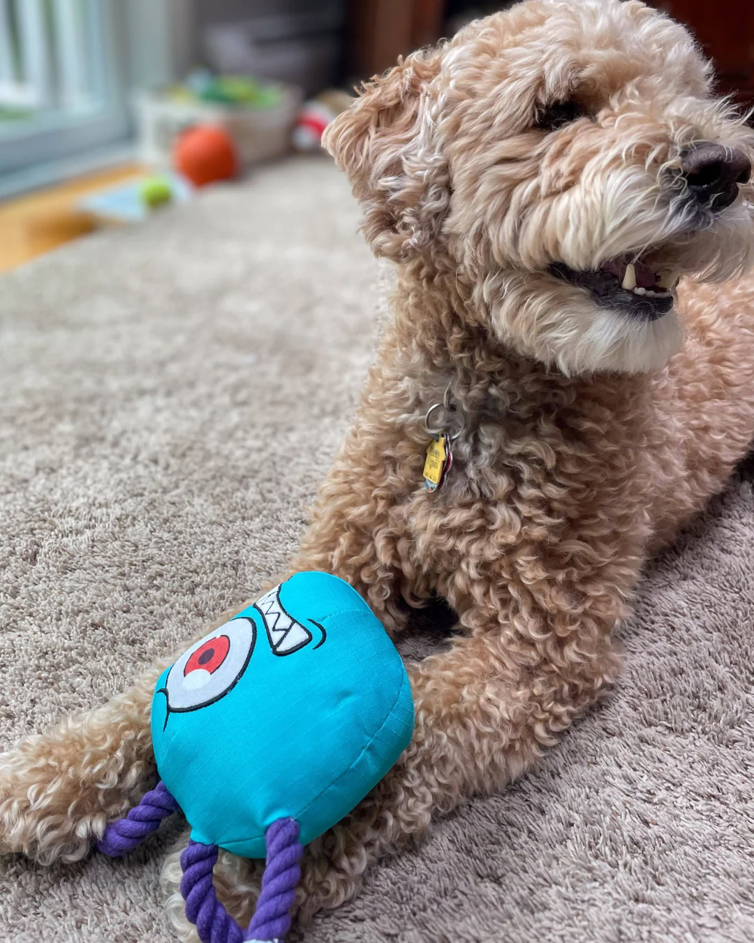 Paw-lymorph Dog Toy: The BeSlobber - Image 2