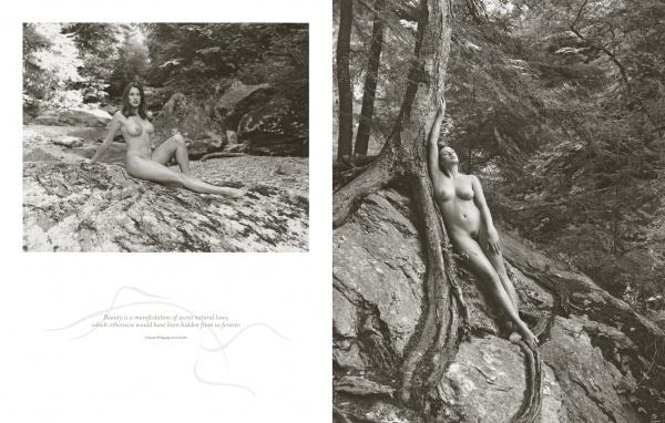 Peak of Perfection by Schiffer Publishing - Image 4