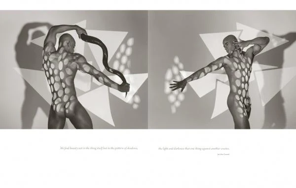 Peak of Perfection by Schiffer Publishing - Image 5