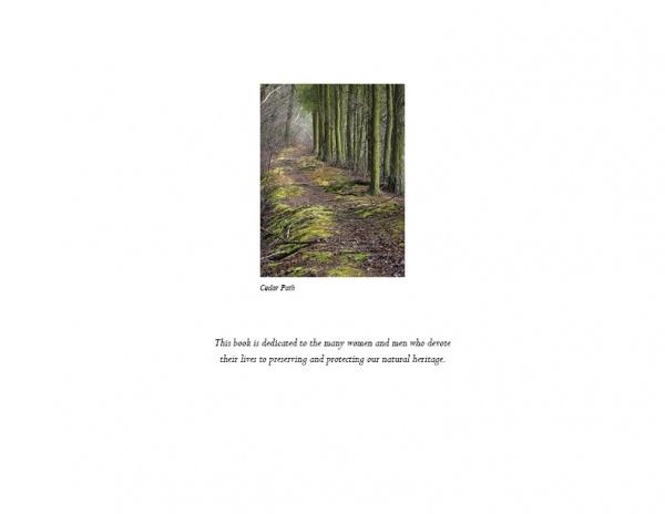 Pinelands by Schiffer Publishing - Image 2