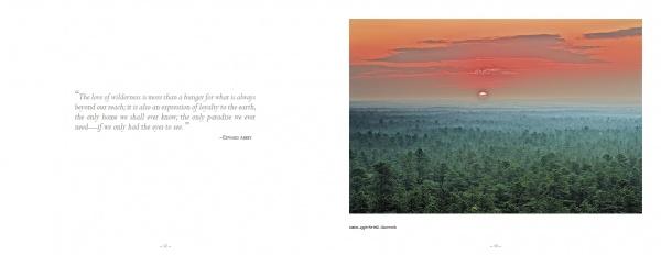 Pinelands by Schiffer Publishing - Image 3