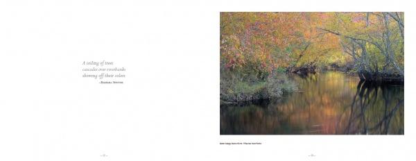 Pinelands by Schiffer Publishing - Image 4
