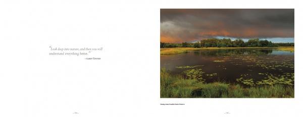 Pinelands by Schiffer Publishing - Image 6
