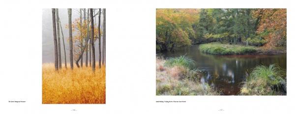 Pinelands by Schiffer Publishing - Image 7