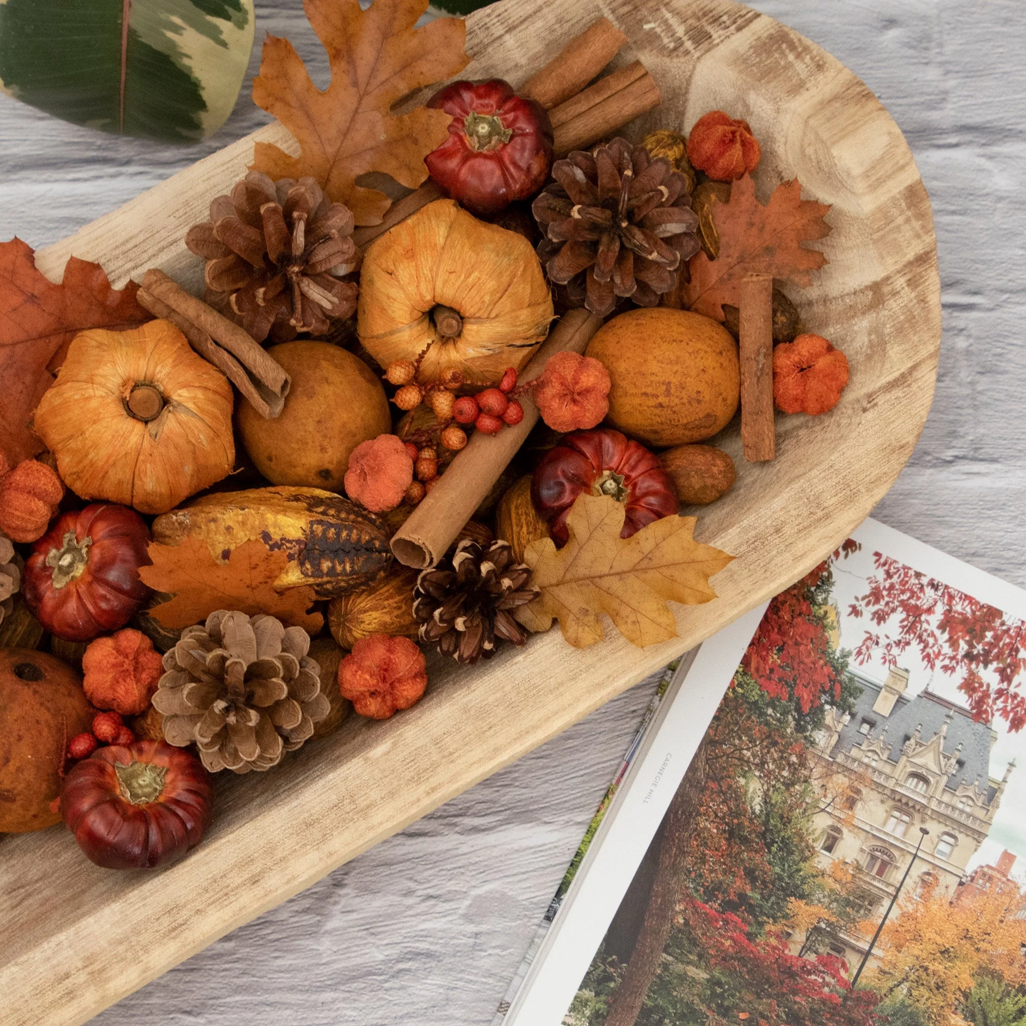 Pumpkin Patch Potpourri by Andaluca Home - Image 2