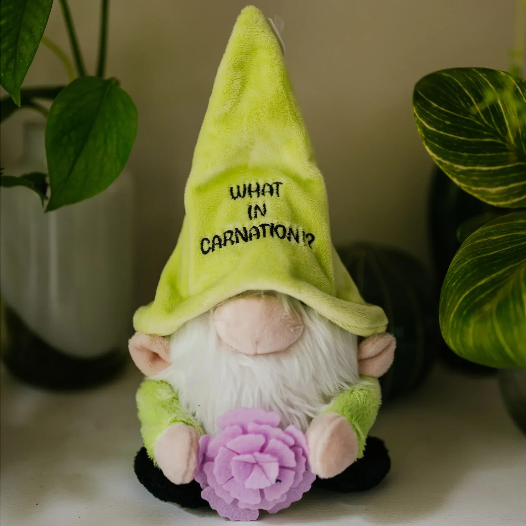 Punchkins Gnome Plush What in Carnation - Image 2