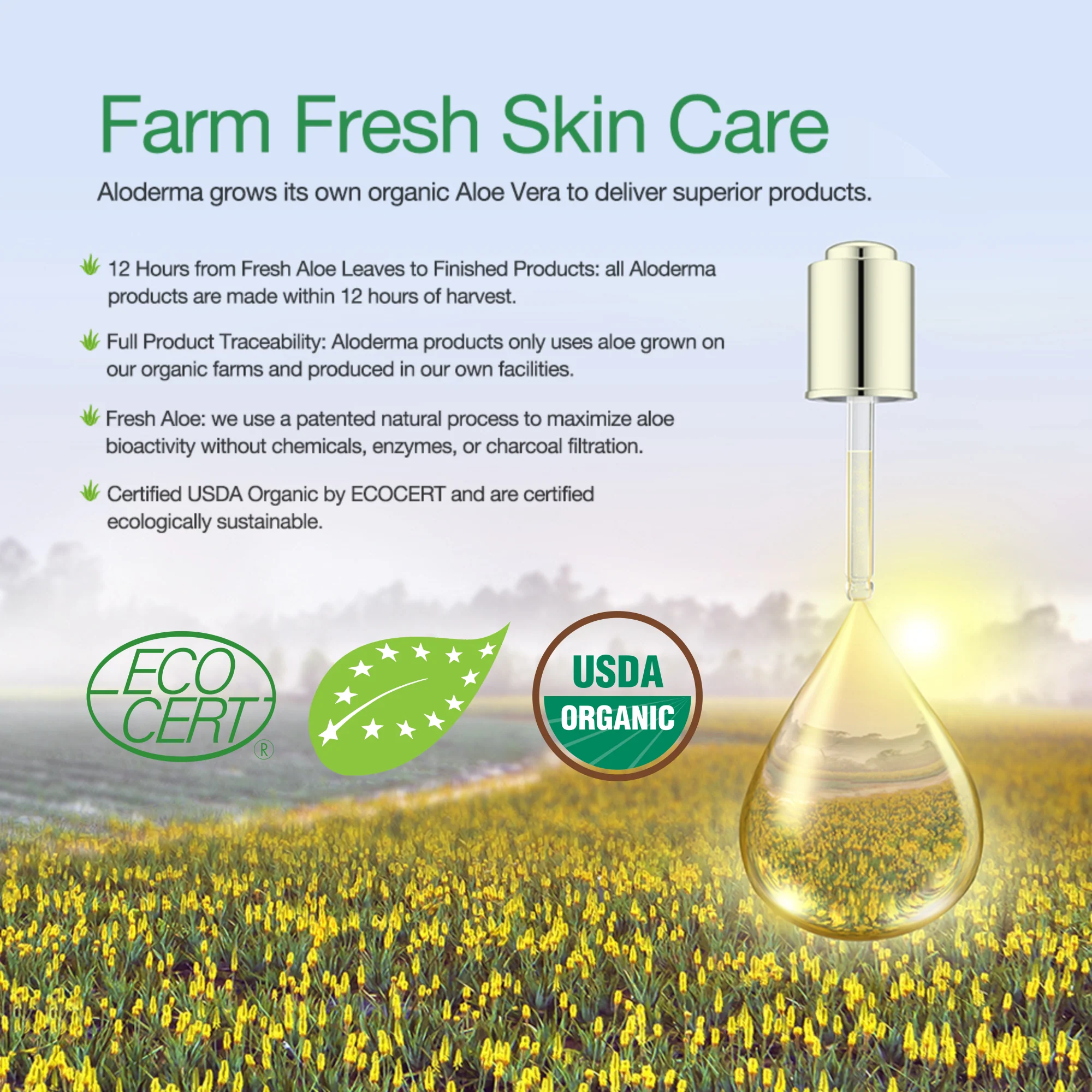 Pure Aloe Vera Gel 114g by ALODERMA - Image 4