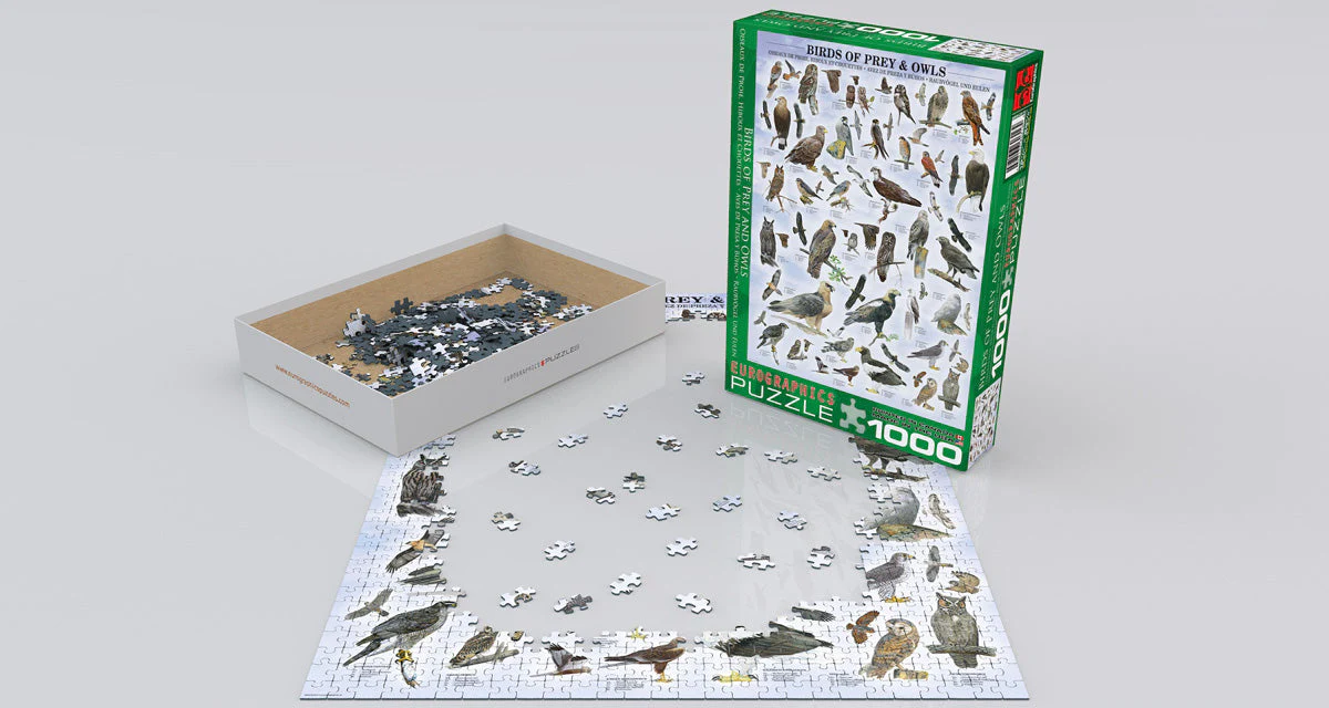 Puzzle: Animal Charts - Birds of Prey and Owls - Image 2