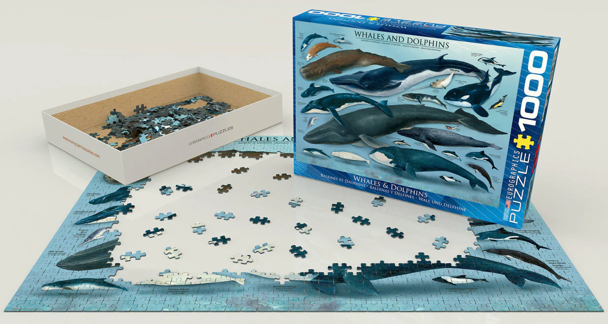 Puzzle: Animal Charts - Whales & Dolphins - Image 2