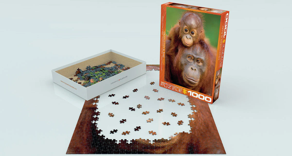 Puzzle: Animal Life Photography - Orangutan & Baby - Image 2