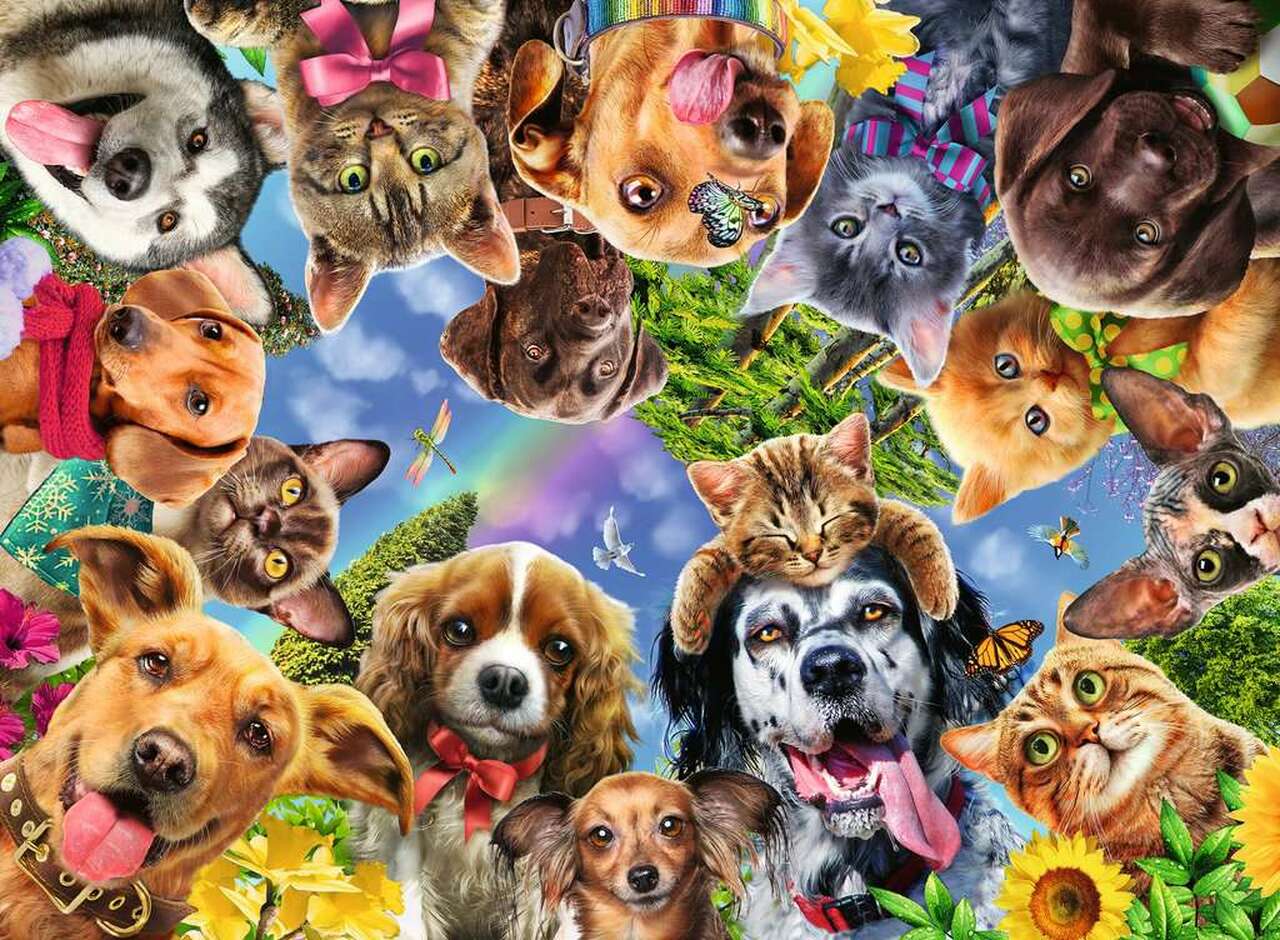 Puzzle: Animal Selfie - Image 2
