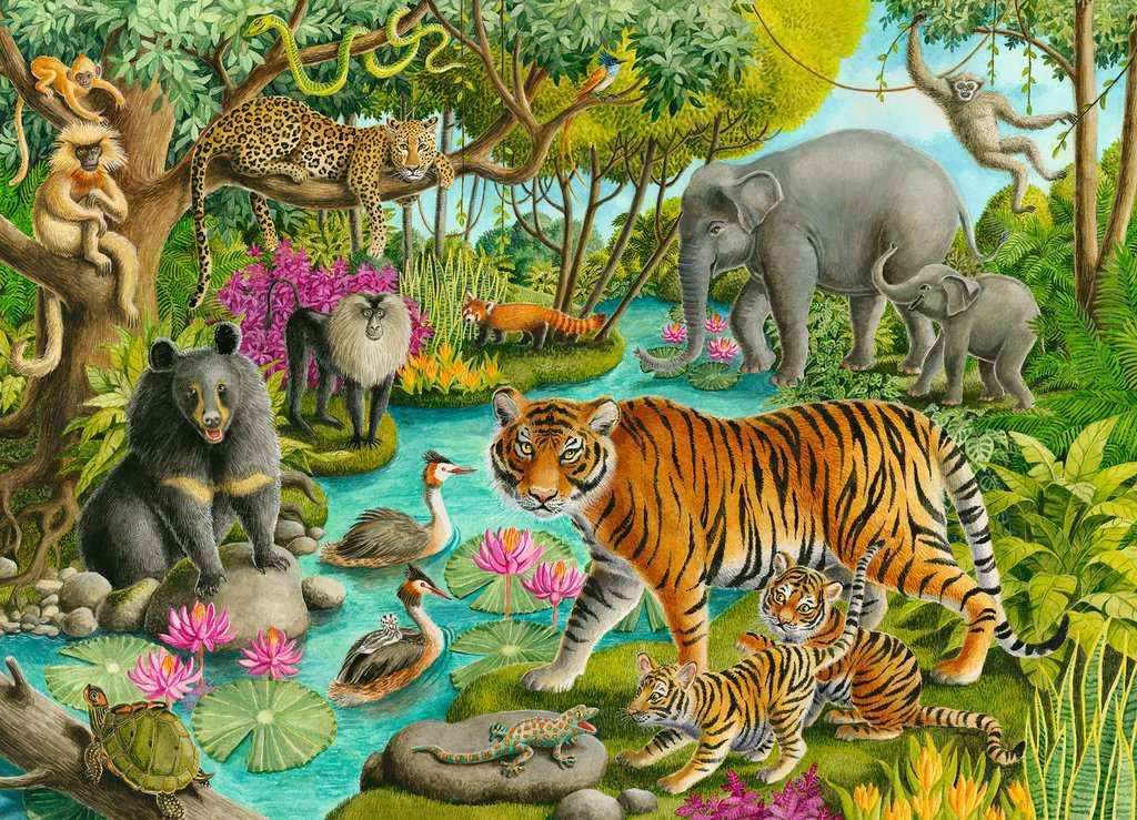 Puzzle: Animals of India - Image 2