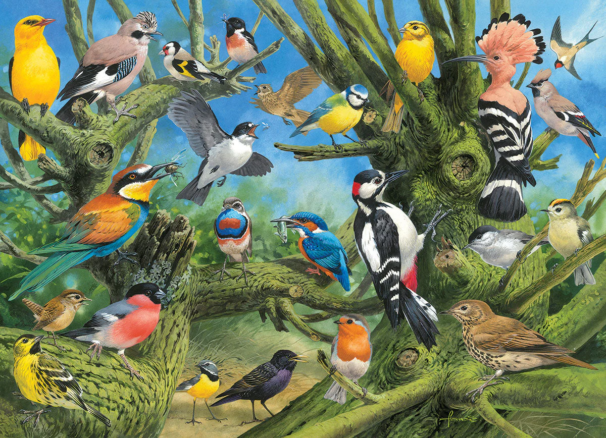 Puzzle: Artist Series - Garden Birds - Image 2