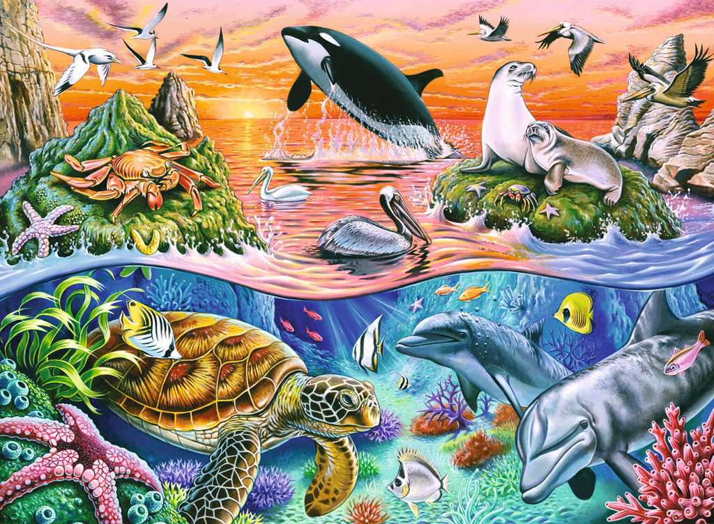 Puzzle: Beautiful Ocean - Image 2
