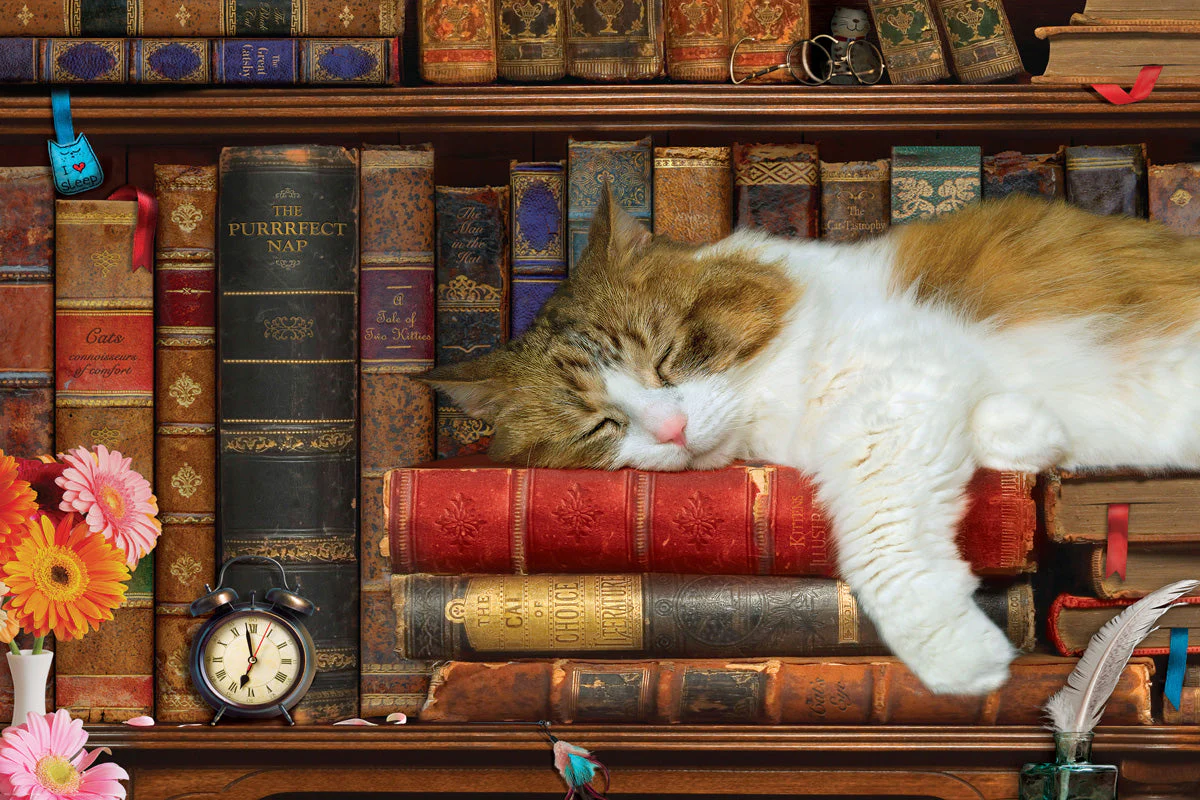 Puzzle: Cat Nap Tin - Image 2