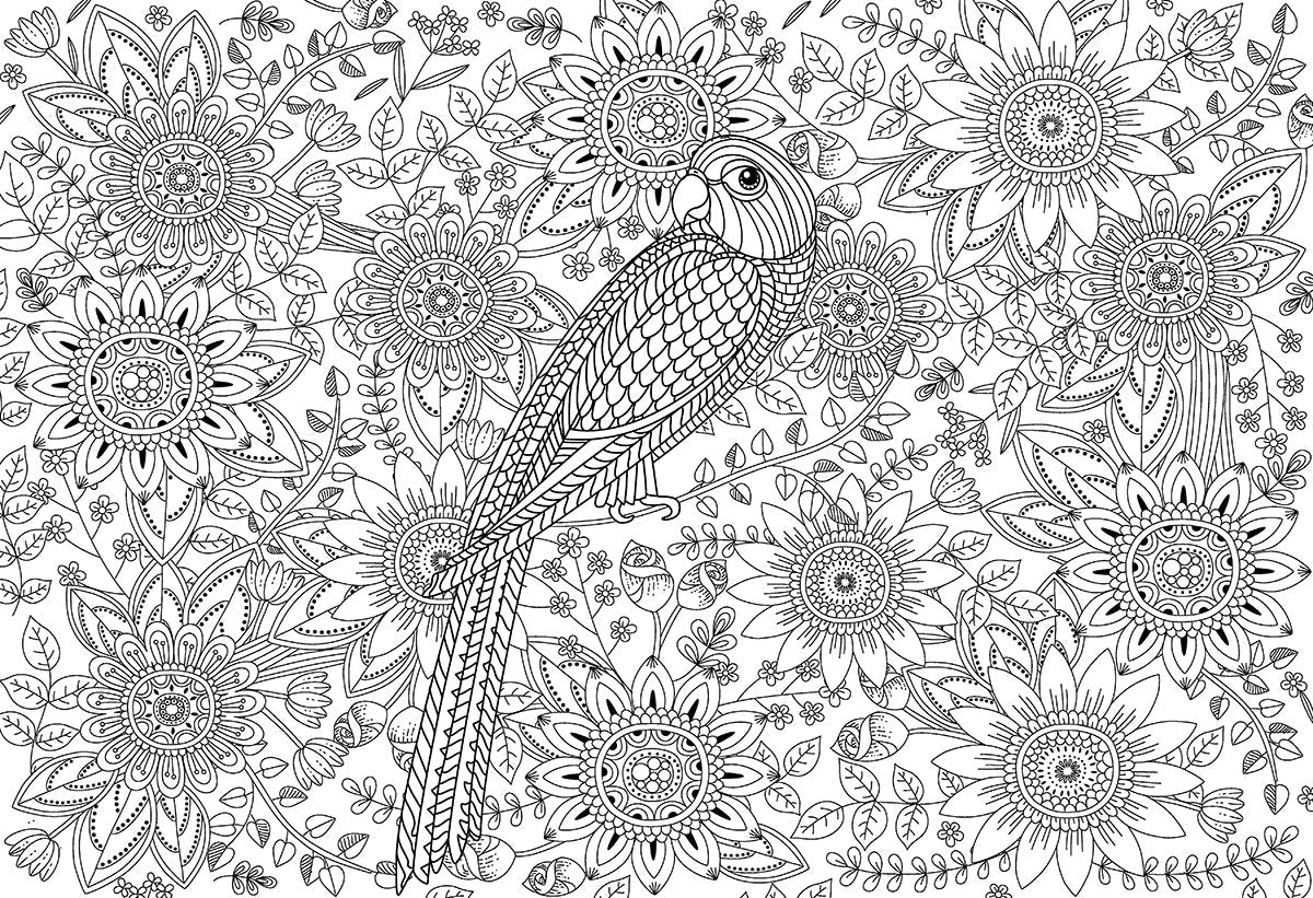 Puzzle: Color-Me Collection - Beautiful Garden - Image 2