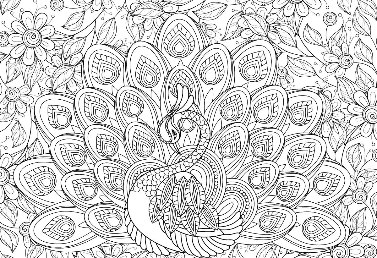 Puzzle: Color-Me Collection - Majestic Feathers - Image 2