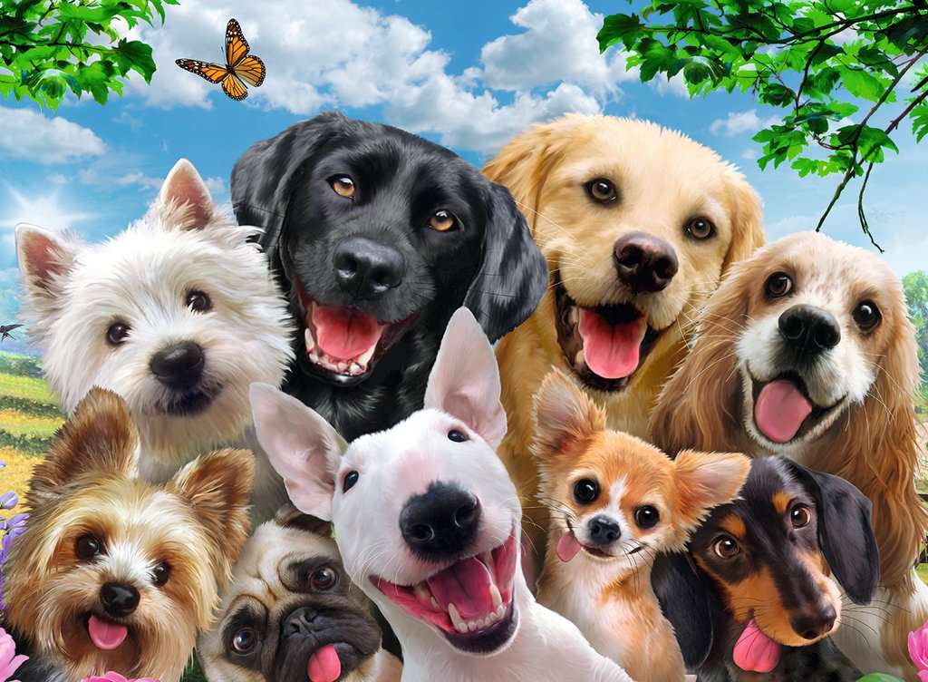 Puzzle: Delighted Dogs - Image 2