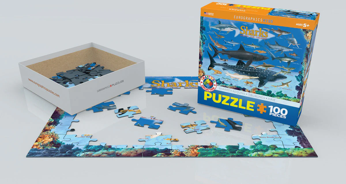 Puzzle: Educational Charts for Kids - Sharks - Image 2