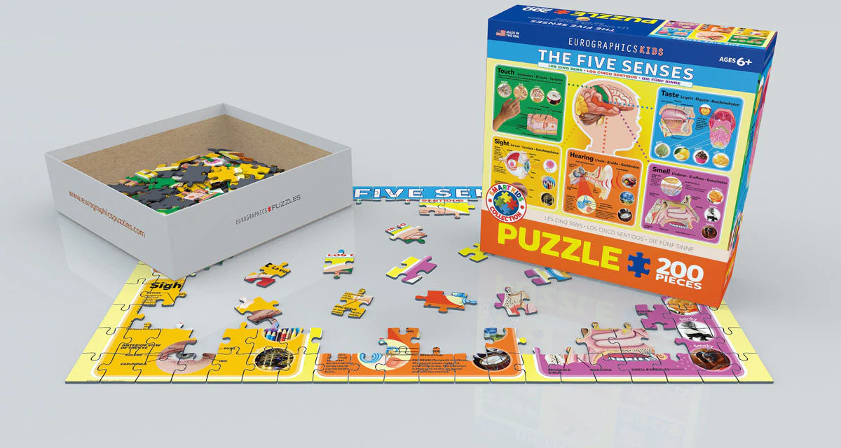 Puzzle: Educational Charts for Kids - The Five Senses - Image 2
