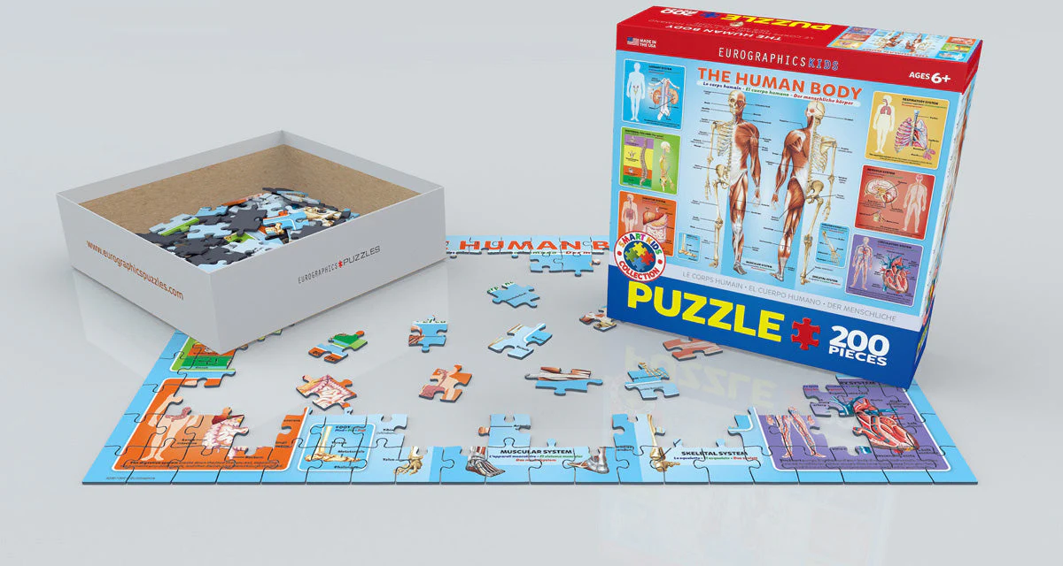 Puzzle: Educational Charts for Kids - The Human Body - Image 2