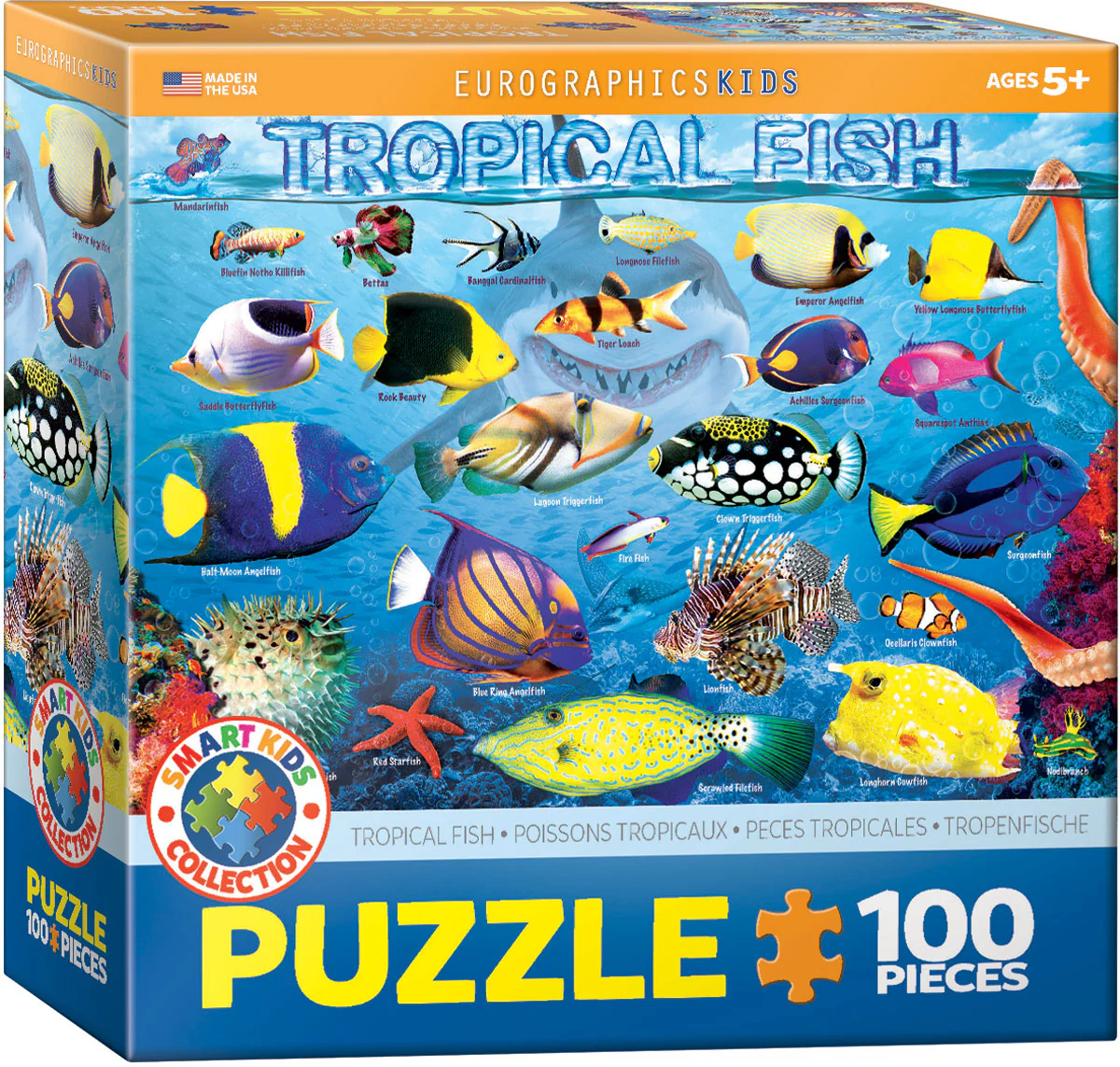 Puzzle: Educational Charts for Kids - Tropical Fish - Image 2