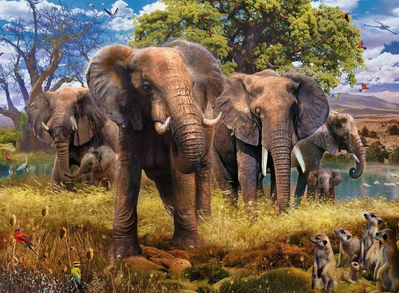 Puzzle: Elephants - Image 2