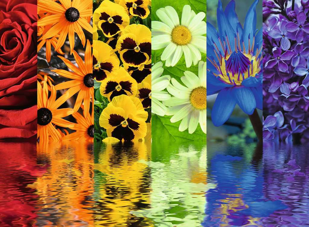 Puzzle: Floral Reflections - Image 2