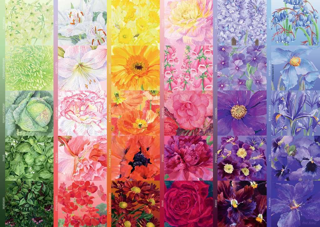 Puzzle: Gardener's Palette - Image 2