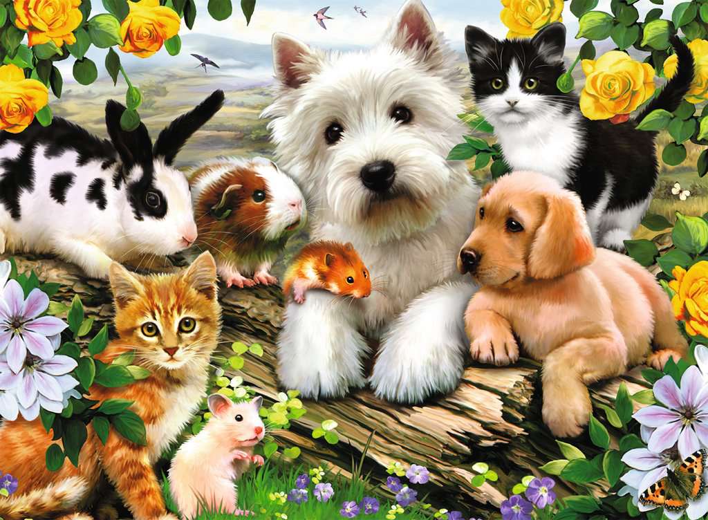 Puzzle: Happy Animal Buddies - Image 2