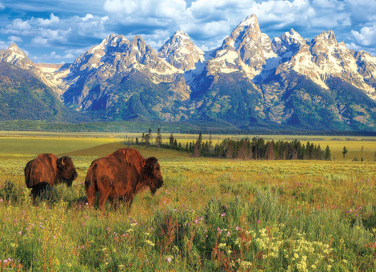 Puzzle: HDR Photography - Grand Teton National Park - Image 2