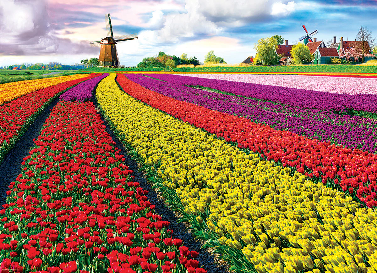 Puzzle: HDR Photography - Tulip Field - Netherlands - Image 3