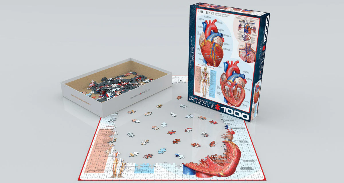 Puzzle: History & General Interest - The Heart - Image 2