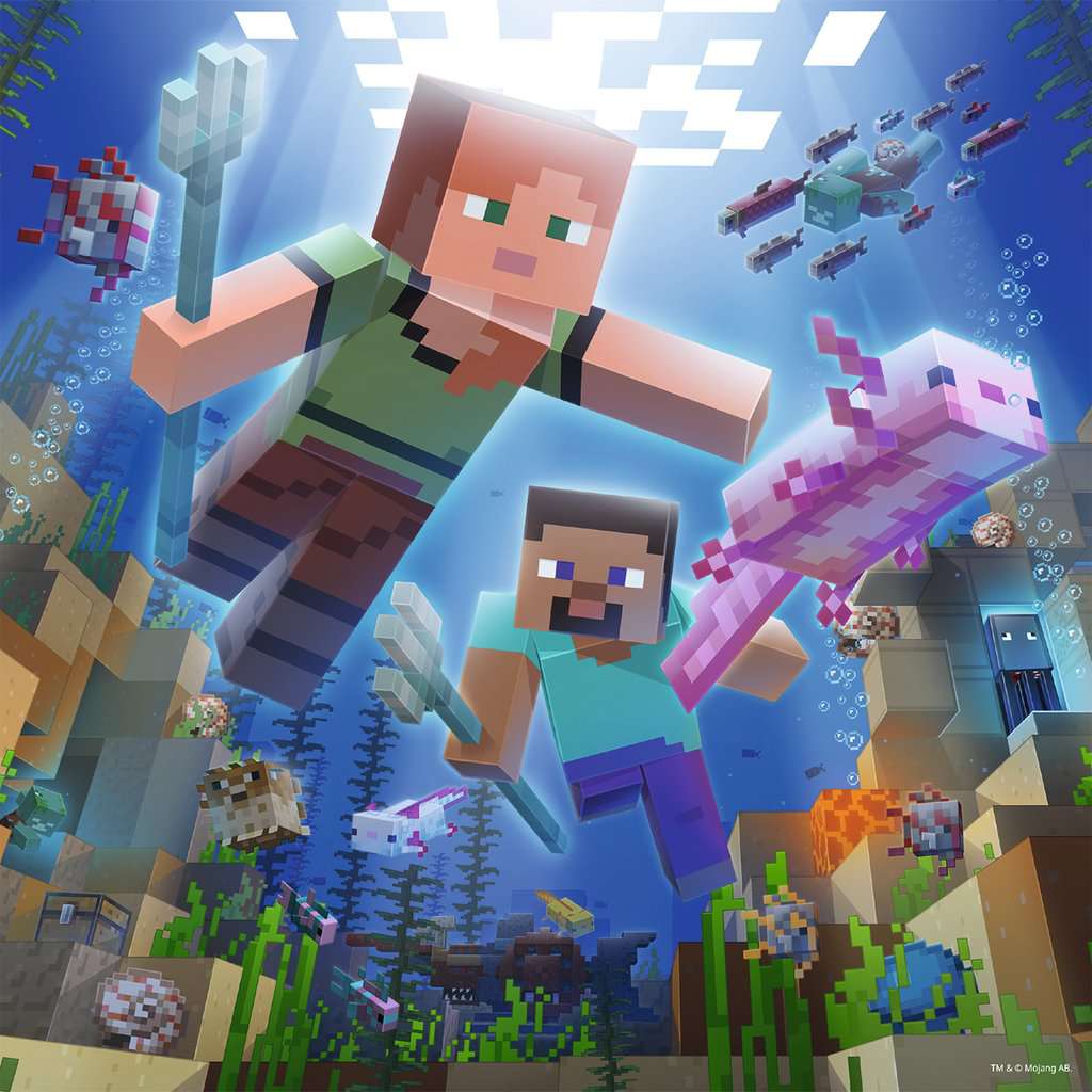 Puzzle: Minecraft: Biomes - Image 4
