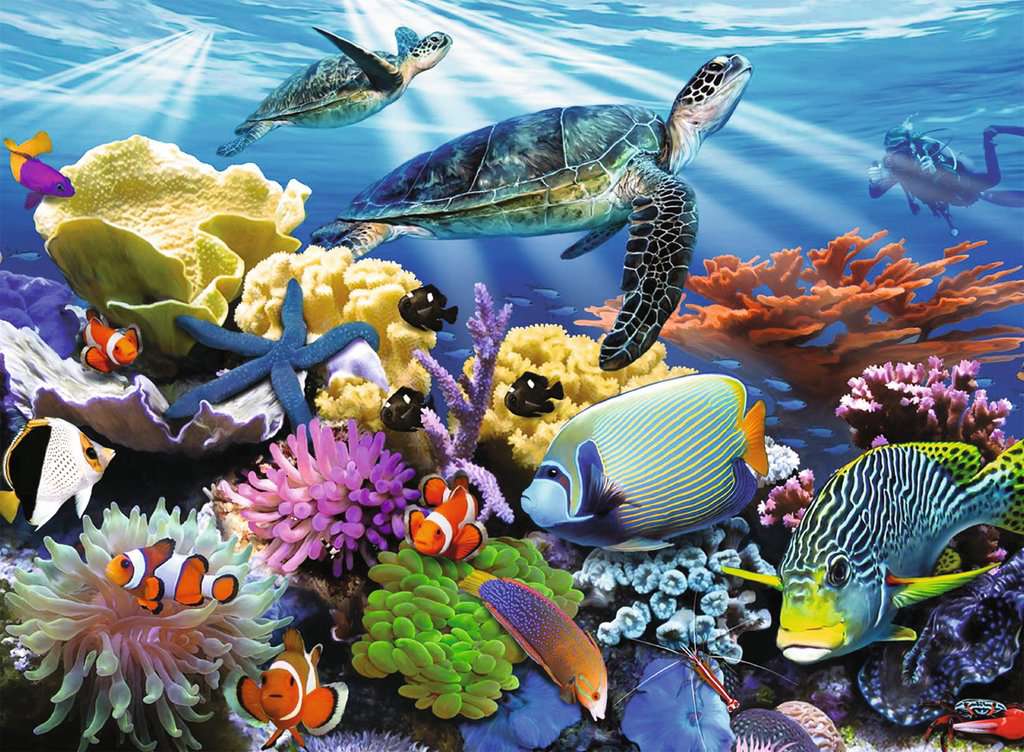 Puzzle: Ocean Turtles - Image 2