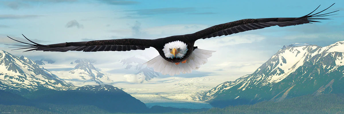 Puzzle: Panoramic Puzzles - Eagle - Image 3