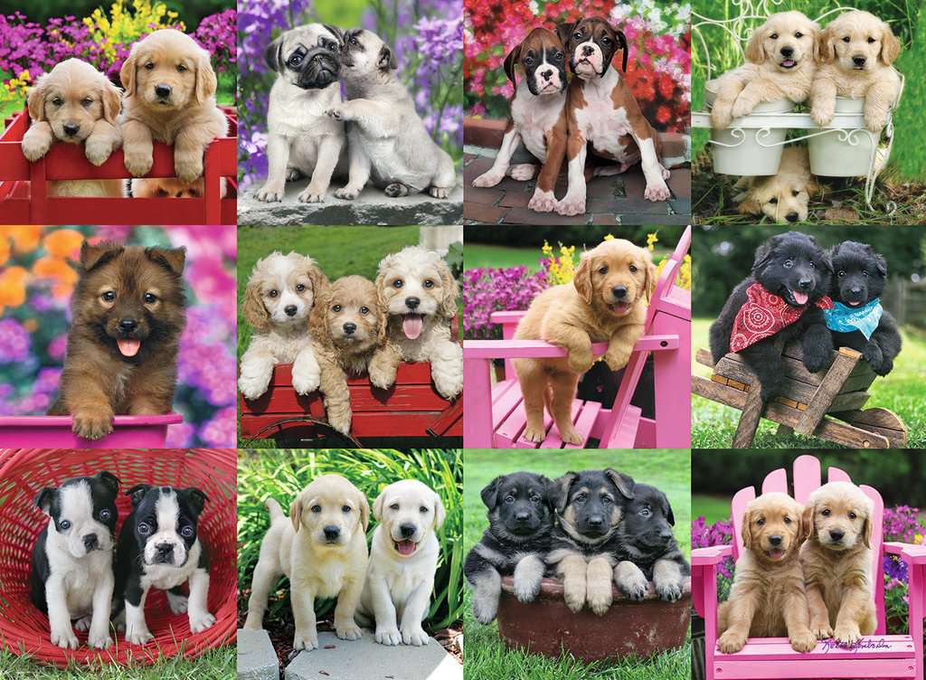 Puzzle: Puppy Pals - Image 2