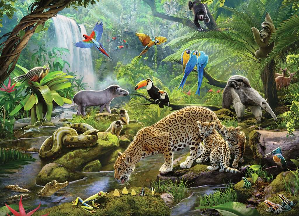 Puzzle: Rainforest Animals - Image 2