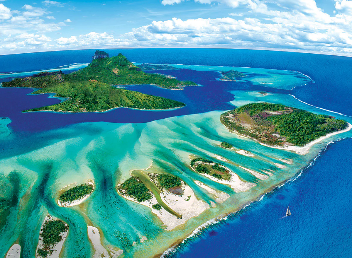 Puzzle: Save Our Planet Puzzles - Coral Reef - Image 2