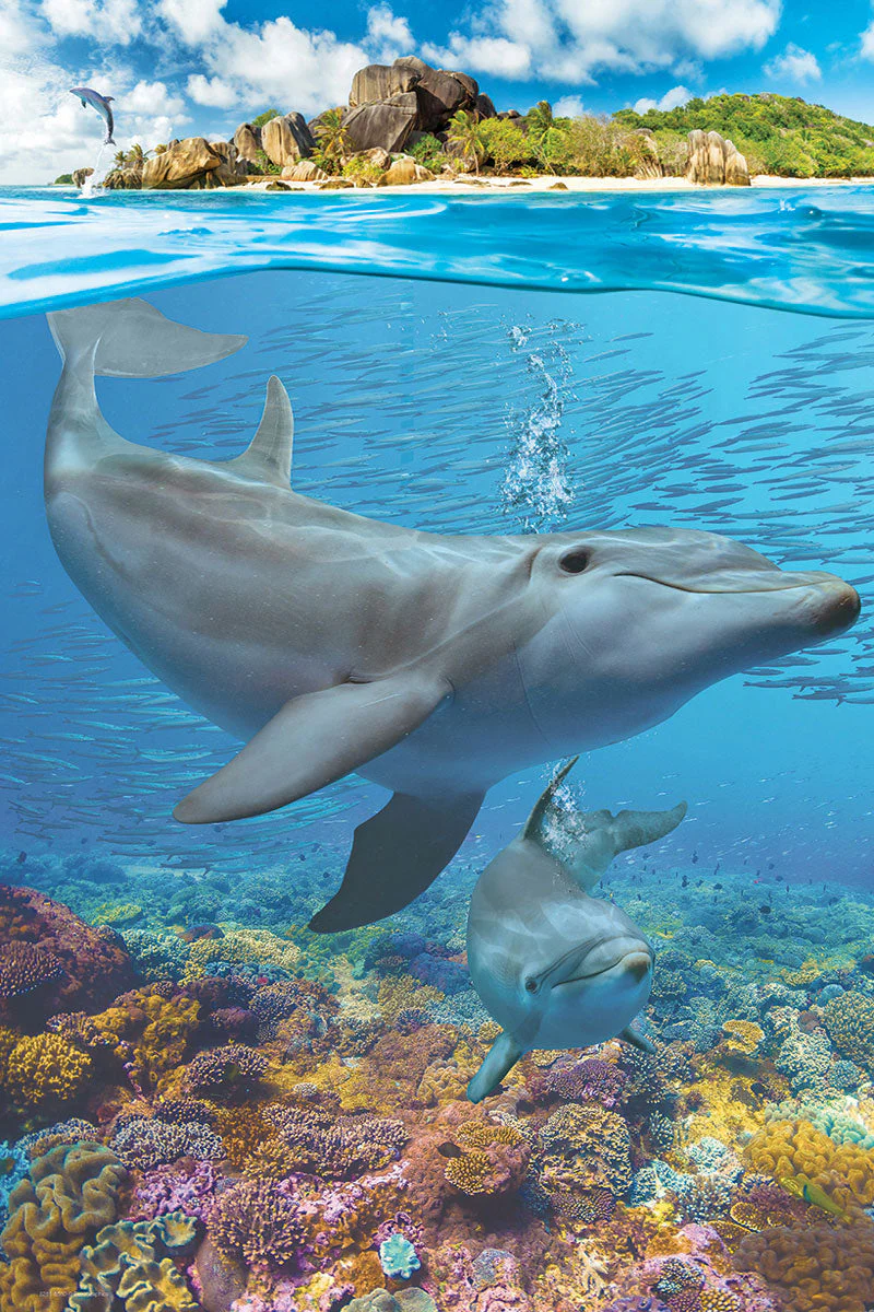 Puzzle: Save Our Planet Puzzles - Dolphins - Image 2