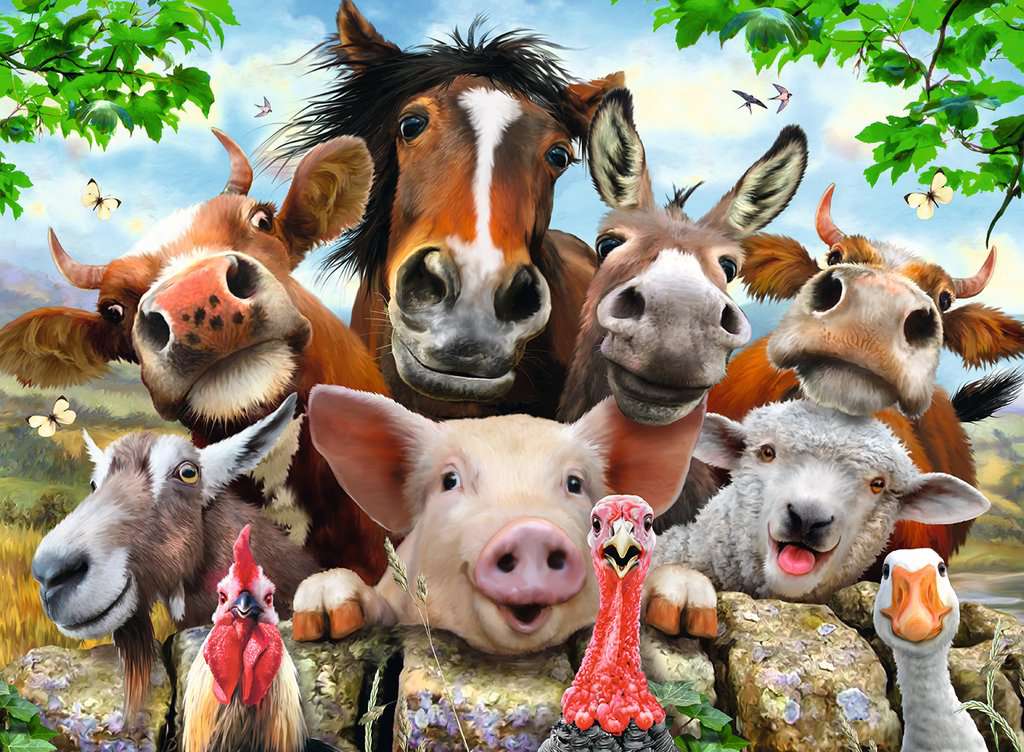 Puzzle: Say Cheese! - Image 2