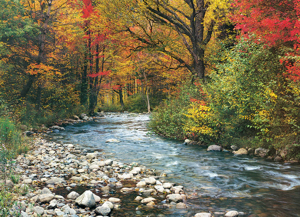 Puzzle: Scenic Photography - Forest Stream - Image 3