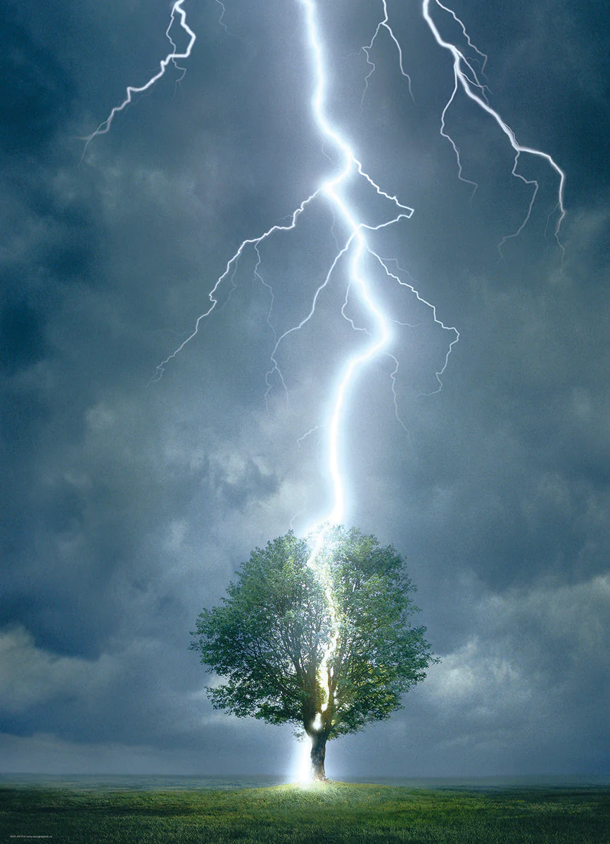 Puzzle: Scenic Photography - Lightning Striking Tree - Image 3