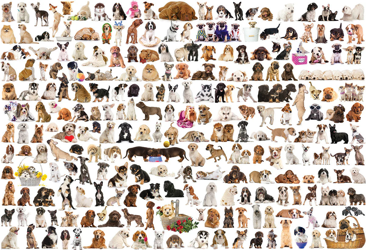 Puzzle: The BIG Puzzle Collection - The World of Dogs - Image 2