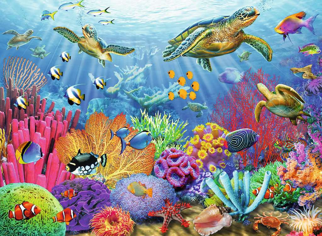 Puzzle: Tropical Waters - Image 2