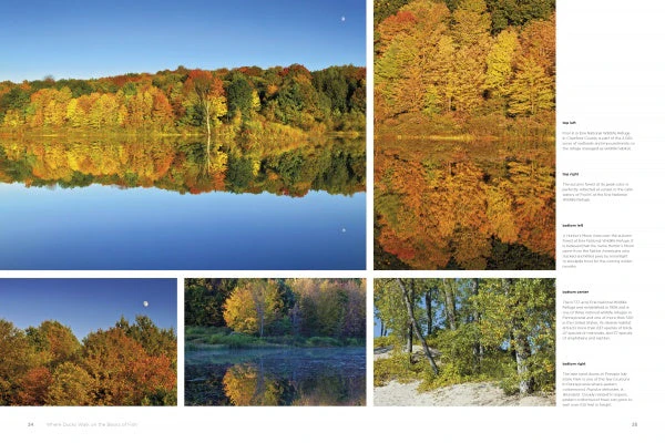 Reserves of Strength: Pennsylvania's Natural Landscape by Schiffer Publishing - Image 2
